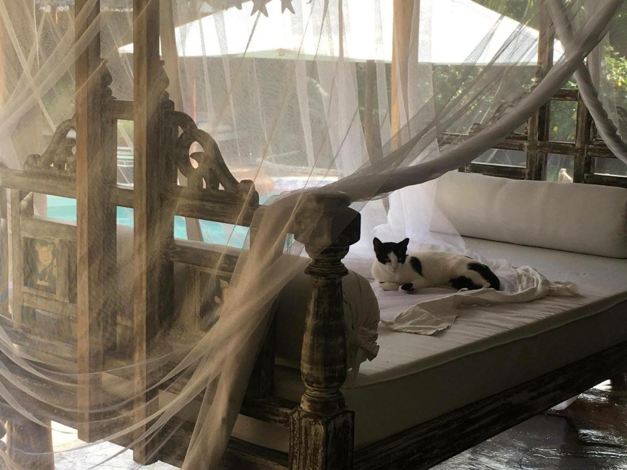 Pashmina House Bed and Breakfast Watamu Exteriör bild