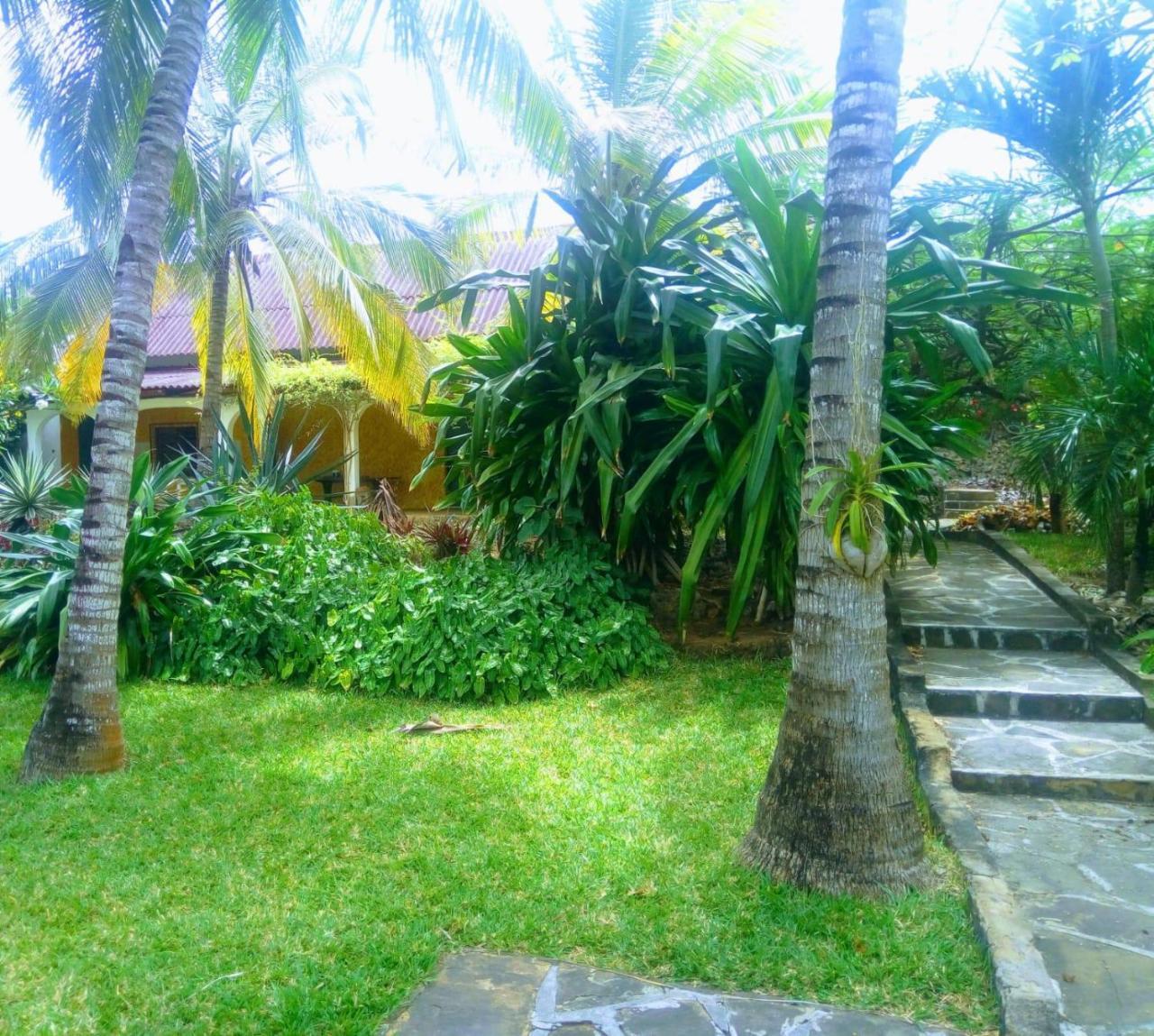 Pashmina House Bed and Breakfast Watamu Exteriör bild