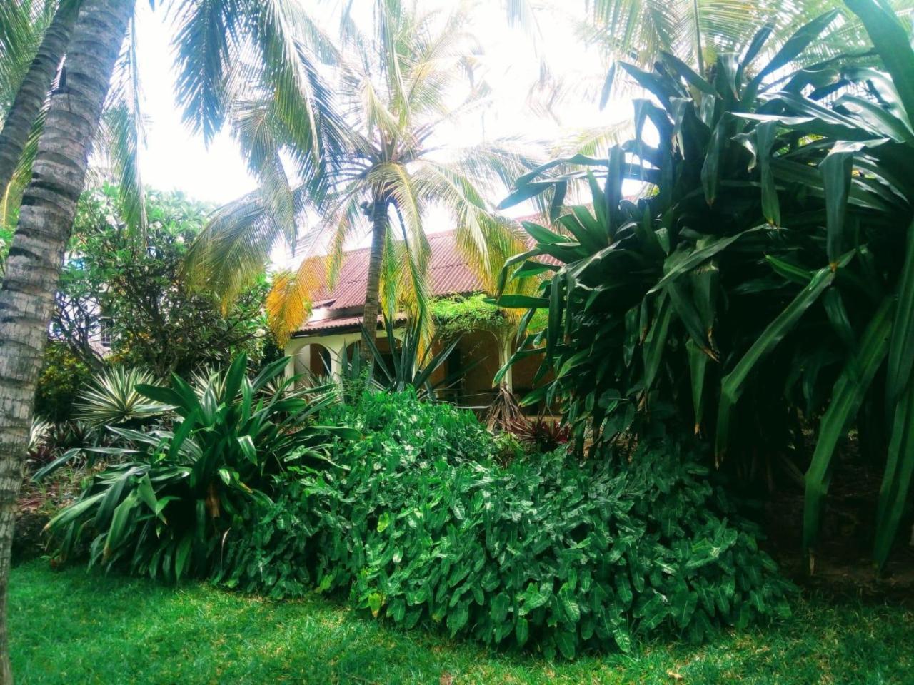 Pashmina House Bed and Breakfast Watamu Exteriör bild